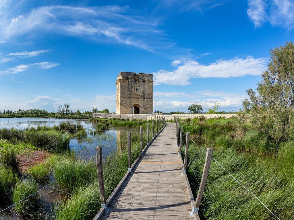 Artemia Aigues-Mortes - Hotel Avec Piscine Zewnętrze zdjęcie